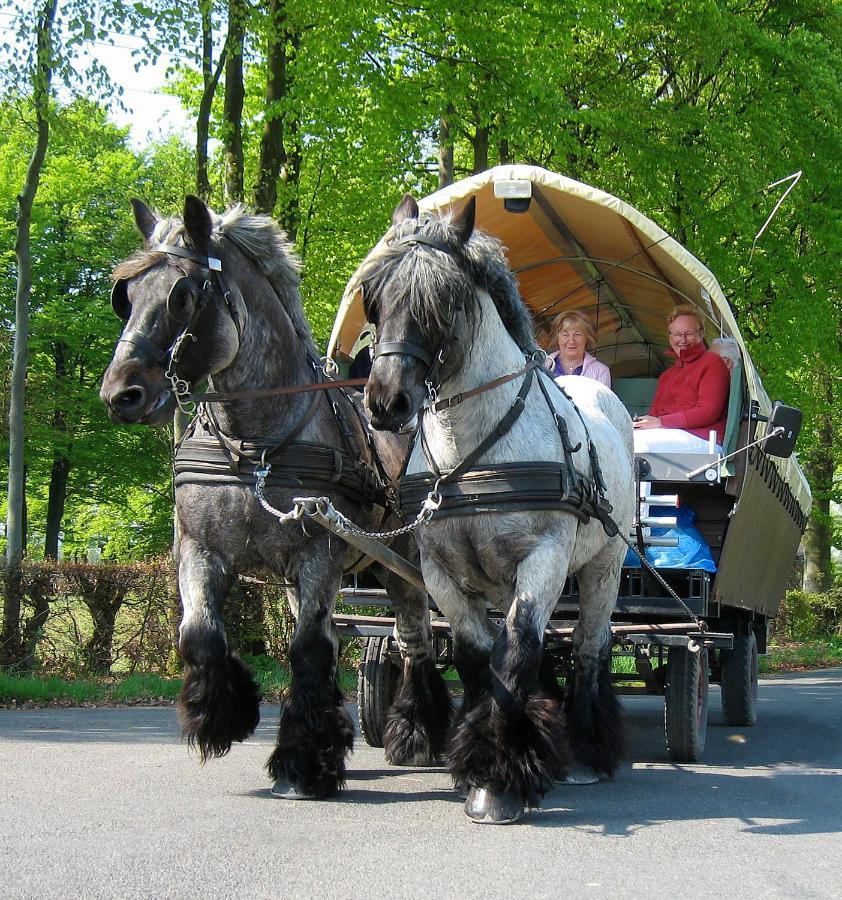 Ferienwohnungen Wiesengrund Monschau Buitenkant foto